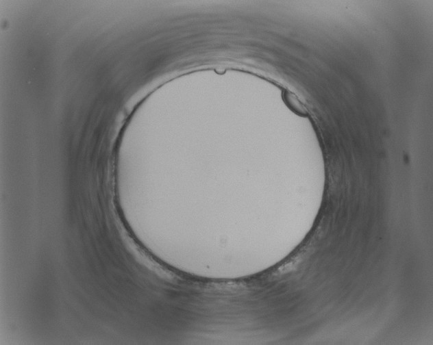 X0000072951526200608181353