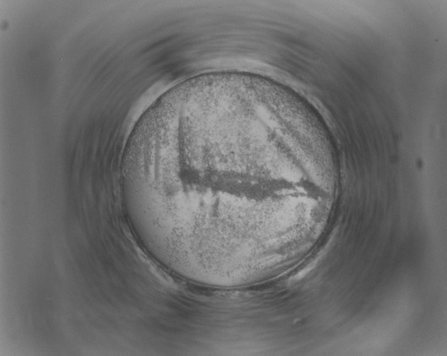 X0000072951529200608181353