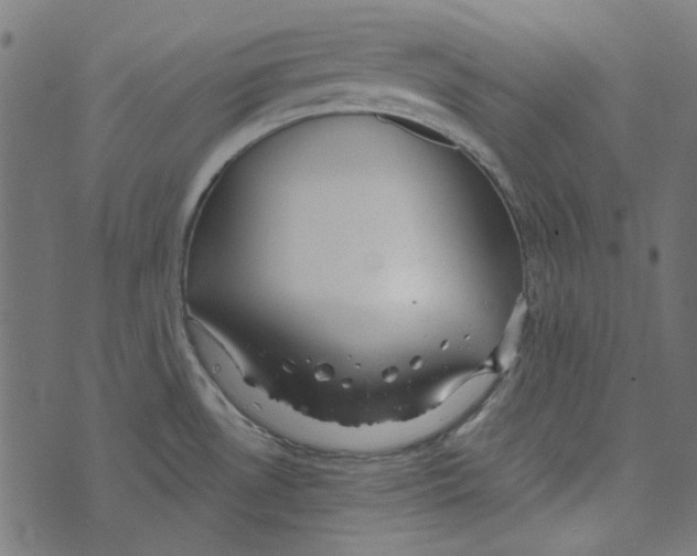 X0000072951530200608181353