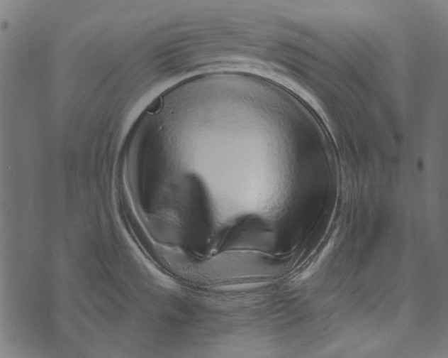 X0000072951533200608181353