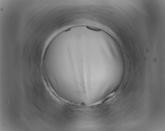 X0000072951536200608181353