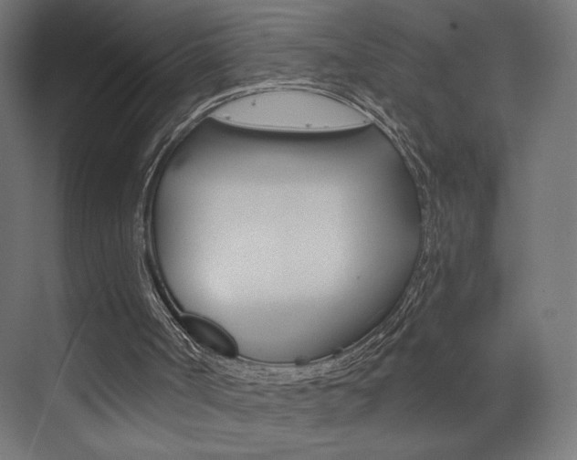 X0000072960002200607211016