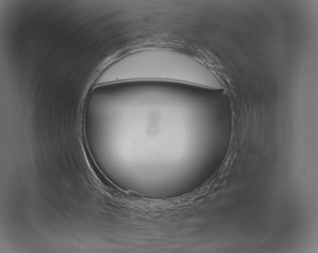 X0000072960003200607211016