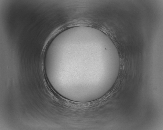 X0000072960004200607211016