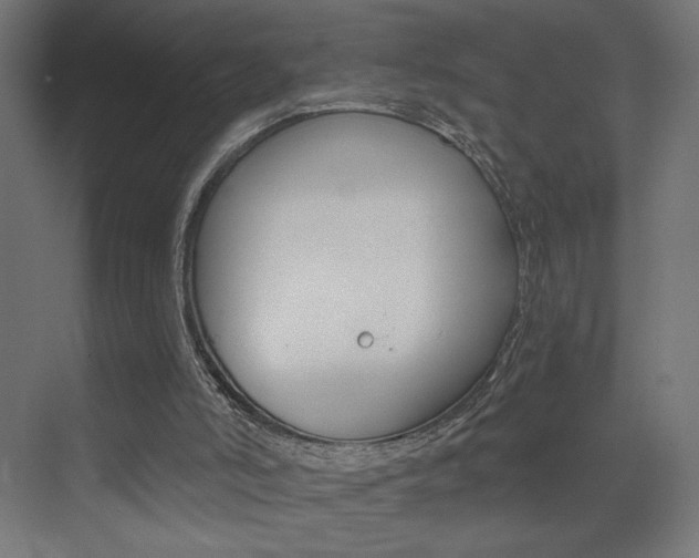 X0000072960006200607211016