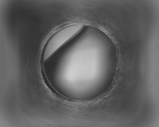 X0000072960007200607211016