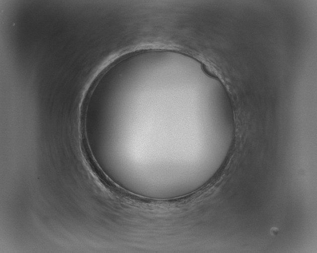 X0000072960008200607211016