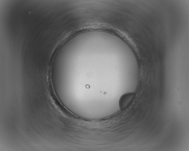 X0000072960010200607211016