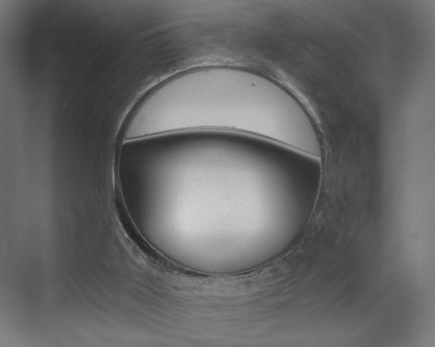 X0000072960011200607211016