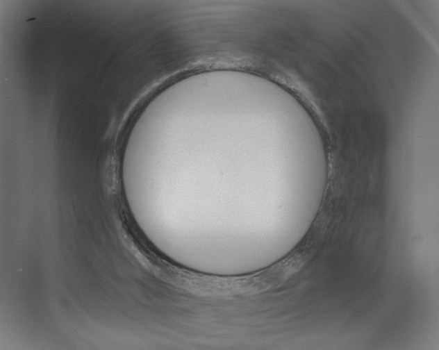 X0000072960012200607211016