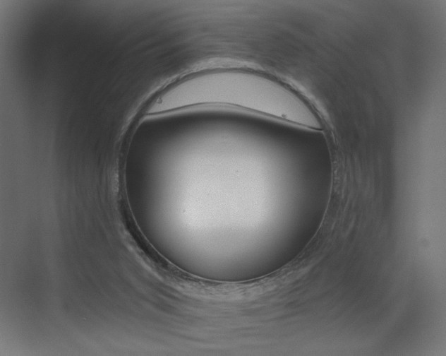 X0000072960015200607211016