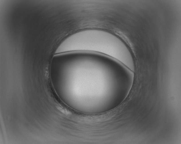 X0000072960017200607211016