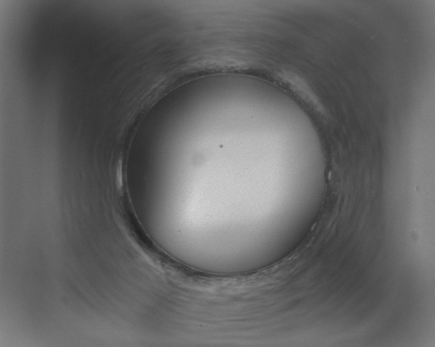 X0000072960021200607211016