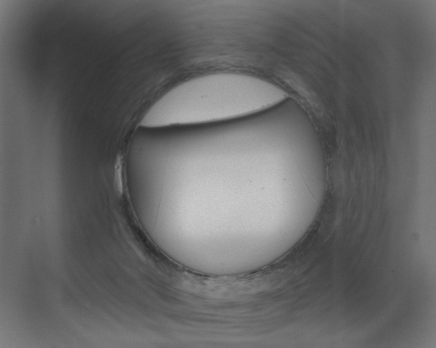 X0000072960022200607211016