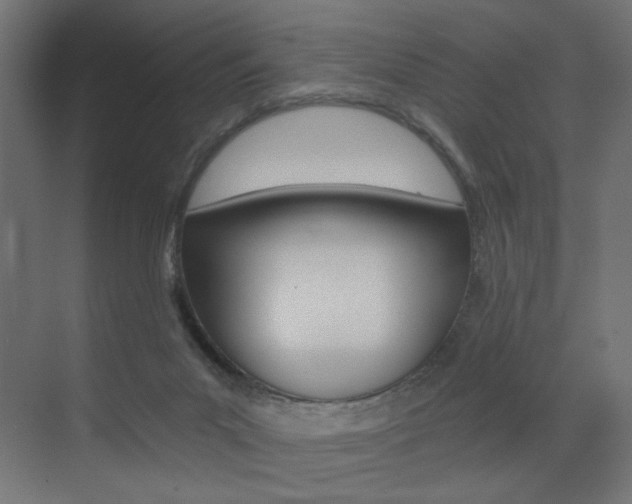 X0000072960023200607211016