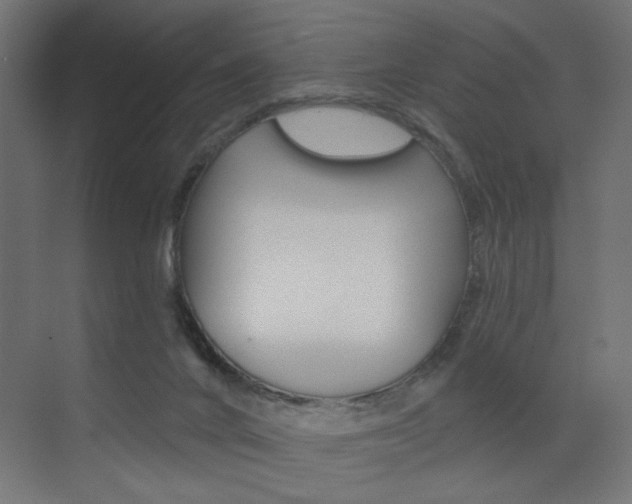 X0000072960024200607211016