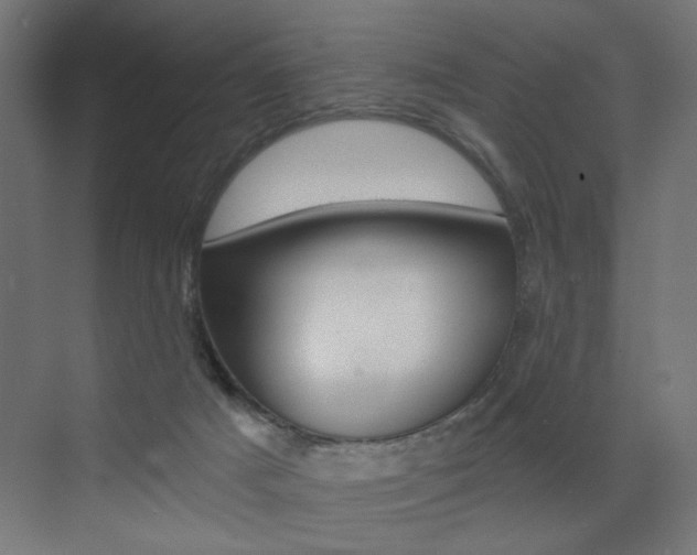 X0000072960025200607211016