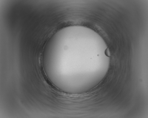 X0000072960026200607211016