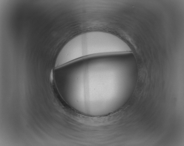 X0000072960027200607211016
