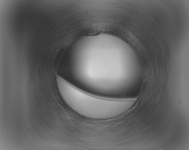 X0000072960029200607211016