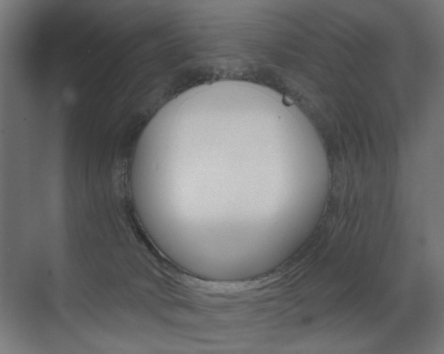 X0000072960034200607211016