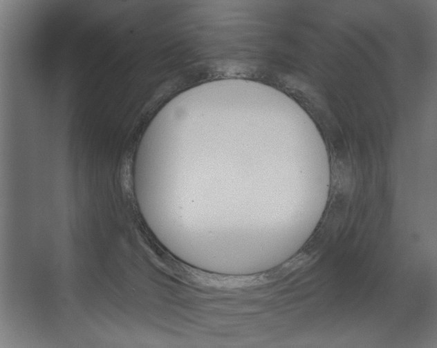 X0000072960036200607211016