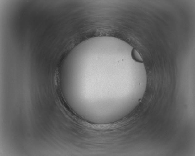 X0000072960038200607211016