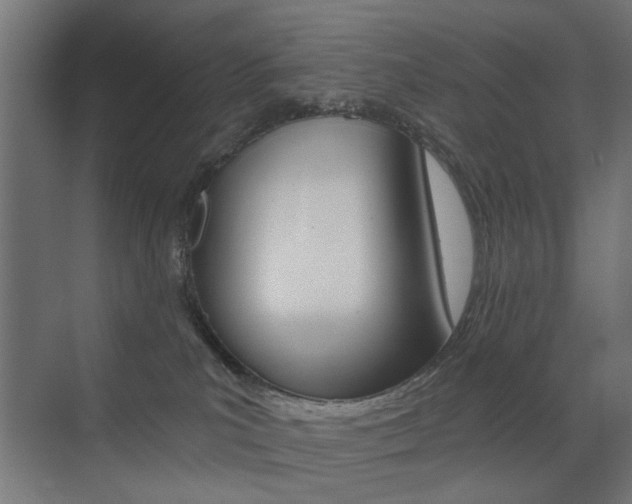 X0000072960039200607211016