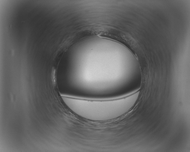 X0000072960041200607211016