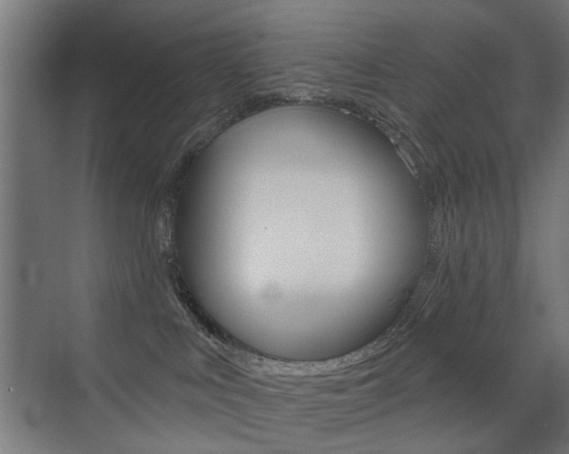 X0000072960043200607211016