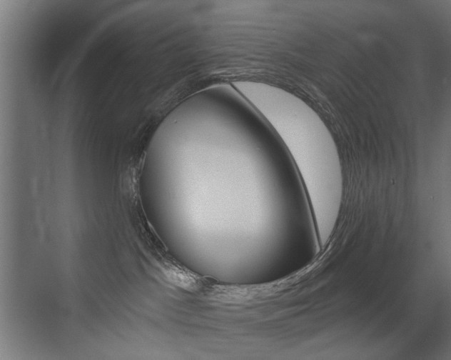 X0000072960045200607211016