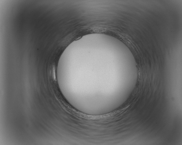 X0000072960046200607211016