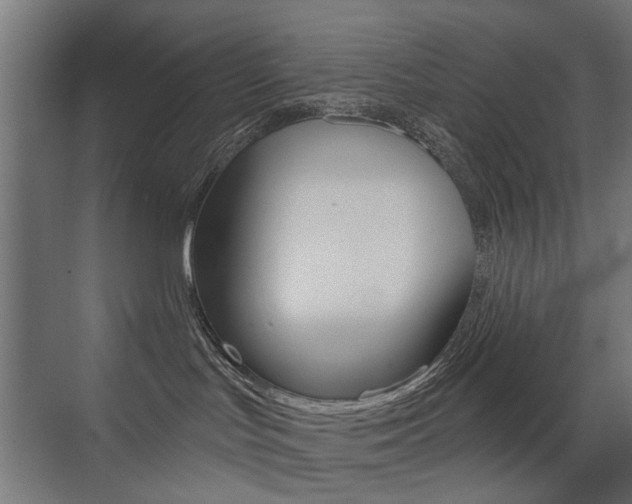 X0000072960047200607211016