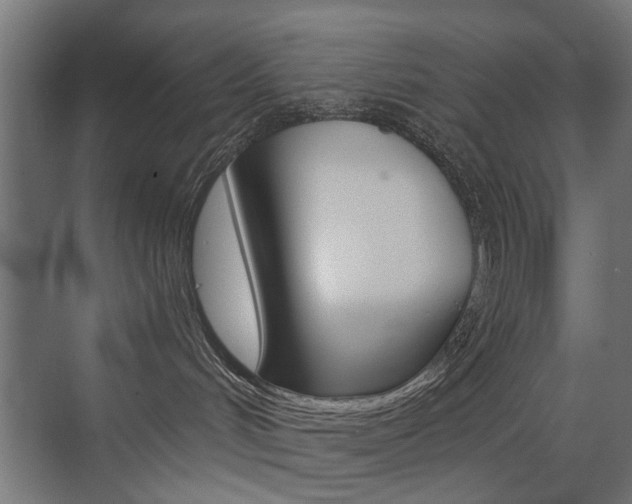 X0000072960048200607211016