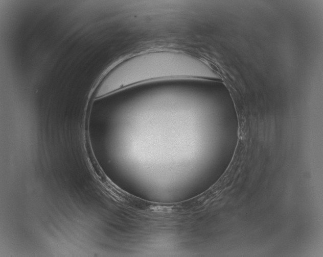 X0000072960052200607211015