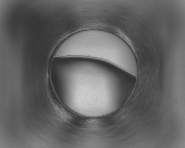 X0000072960059200607211015
