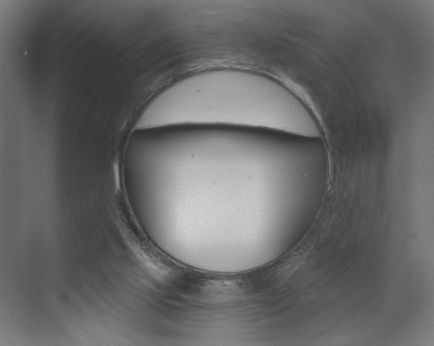 X0000072960061200607211015