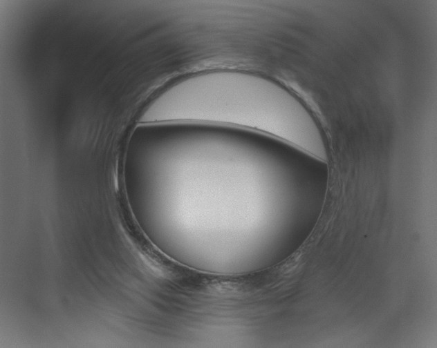 X0000072960062200607211015