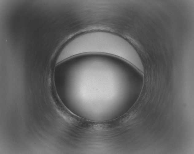 X0000072960064200607211015