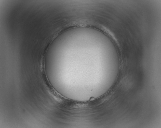 X0000072960065200607211015