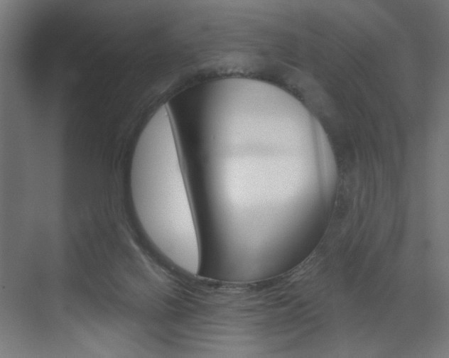X0000072960070200607211015
