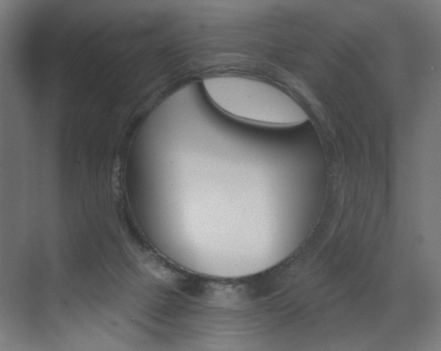 X0000072960073200607211015