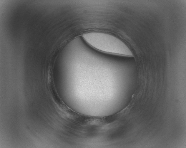 X0000072960074200607211015