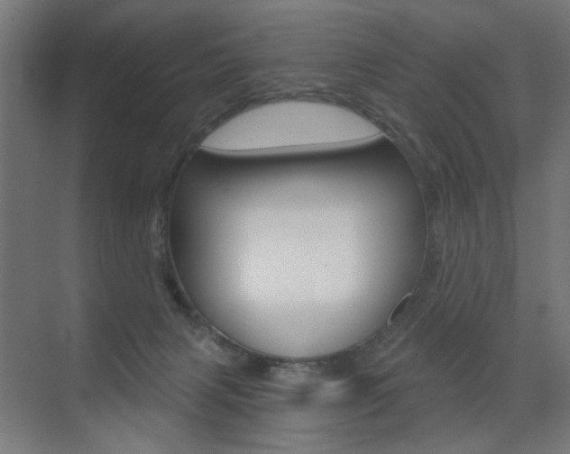 X0000072960079200607211015