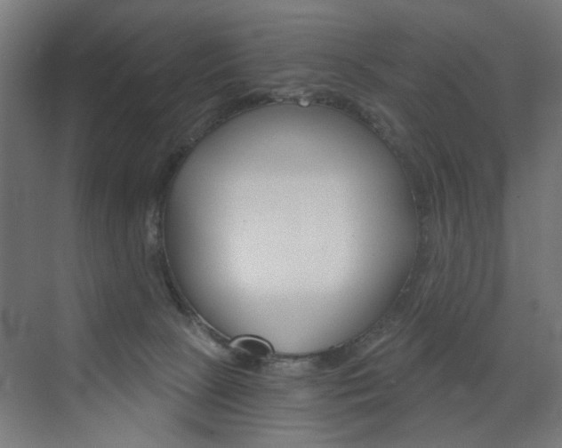 X0000072960081200607211015