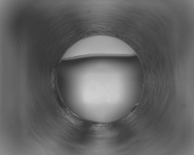 X0000072960082200607211015