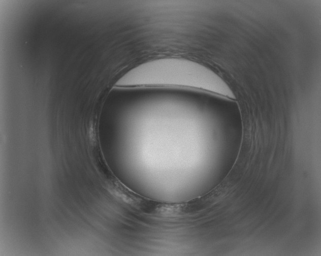 X0000072960084200607211015