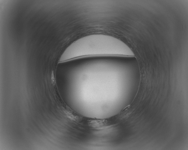 X0000072960089200607211016