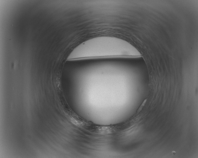 X0000072960091200607211016