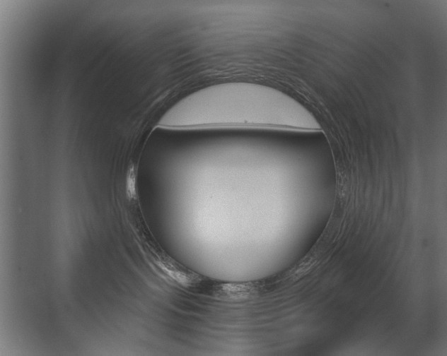 X0000072960095200607211016